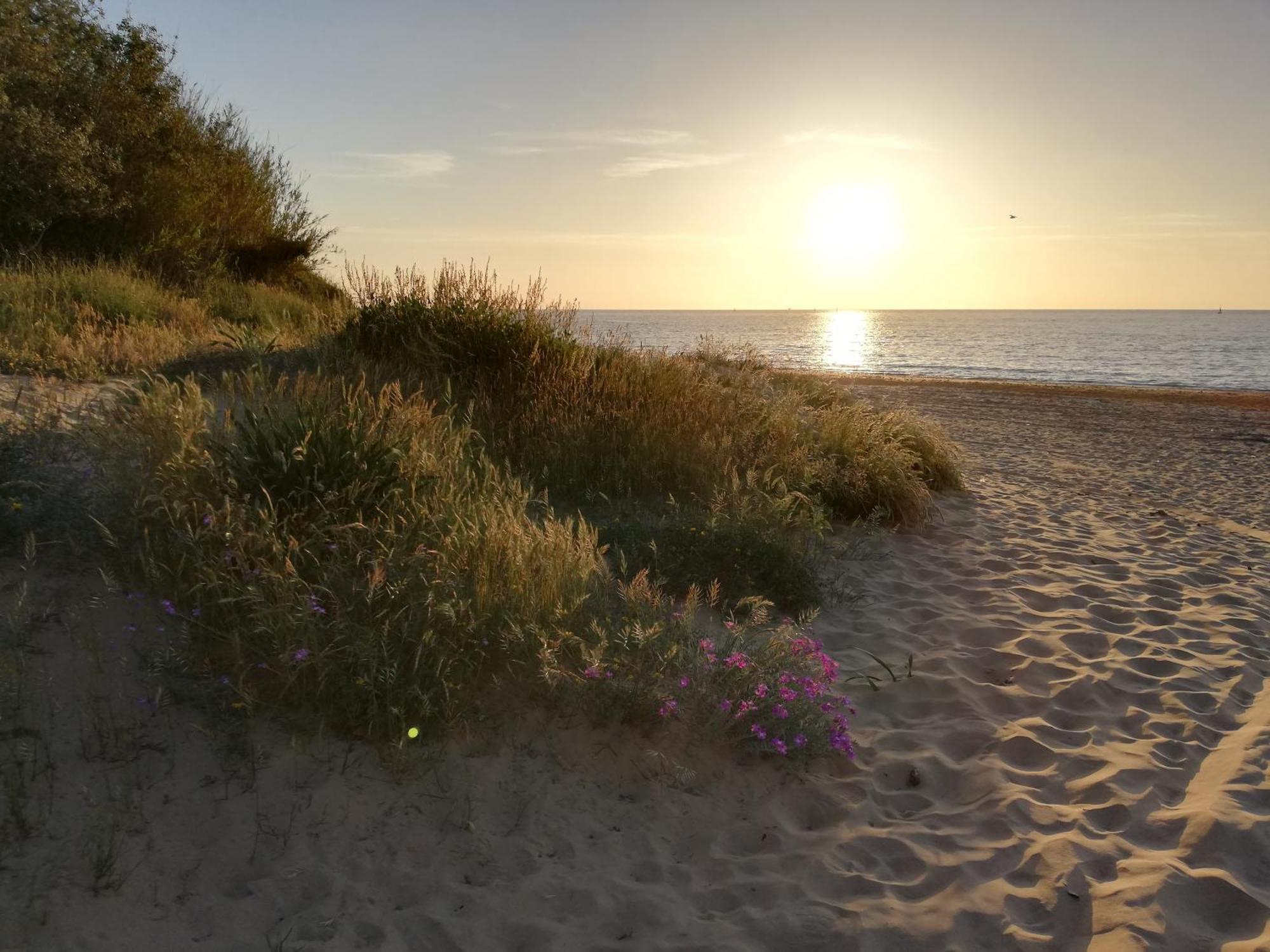 Moderno Apartamento Junto A La Playa Sanlúcar de Barrameda المظهر الخارجي الصورة